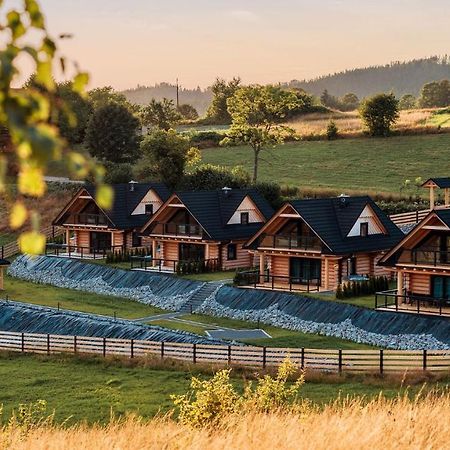 Osada Miod Malina Villa Istebna Bagian luar foto